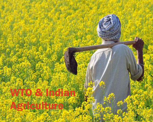 globalization and agriculture in india