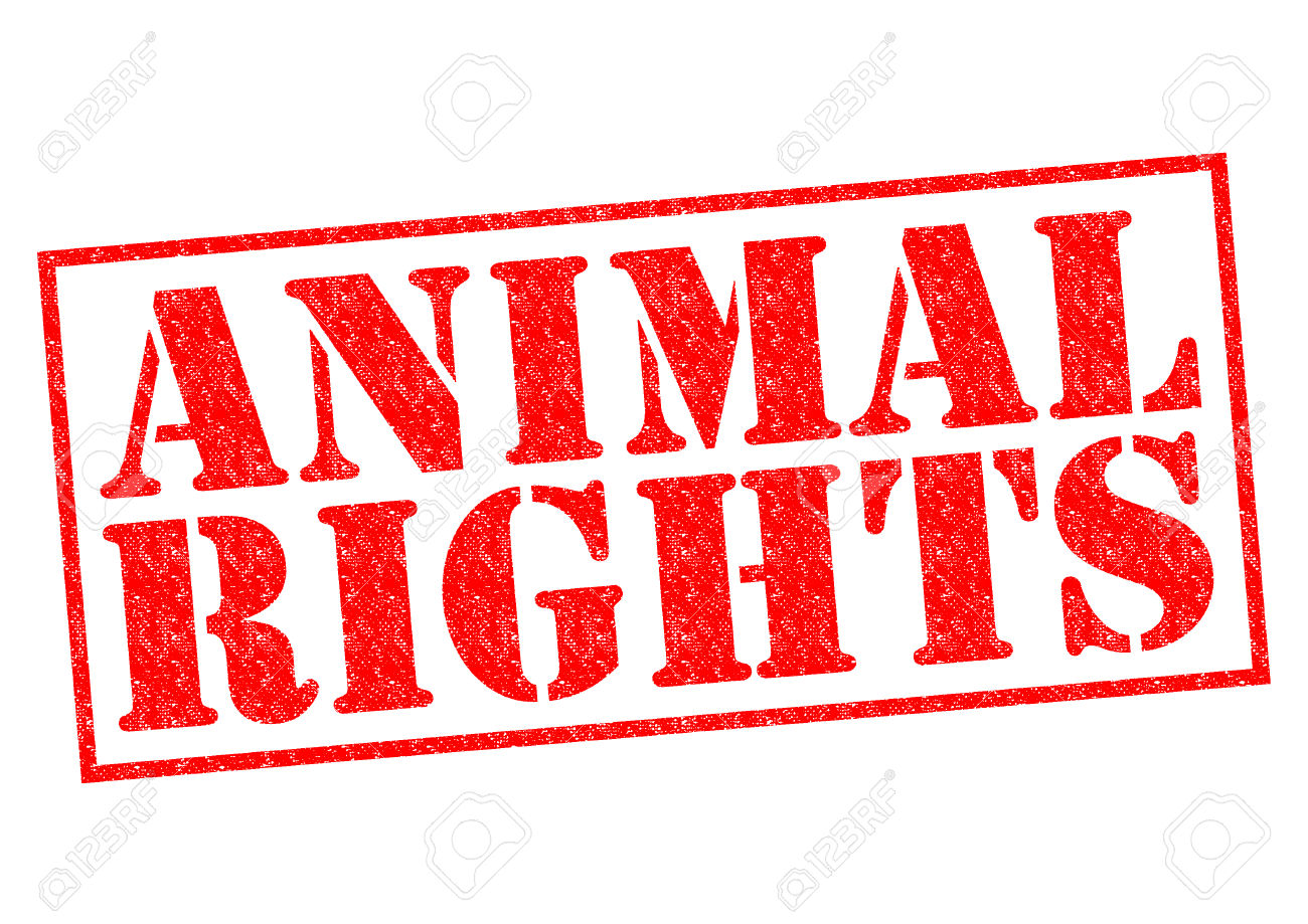 Animal Rights - IILS Blog