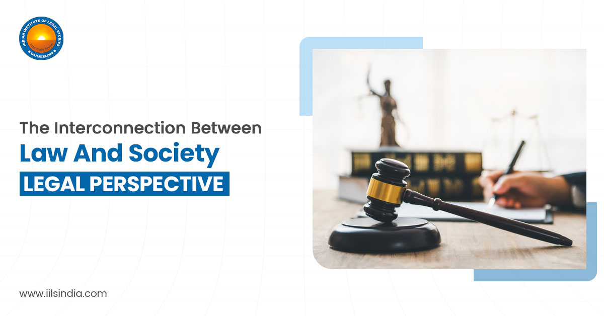 The Interconnection between Law and Society: Legal Perspective