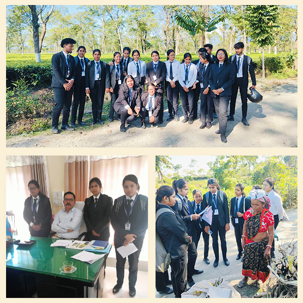 Field Visit to Majherdabri Tea Estate and Factory: A Practical Insight into Labour and Industrial Law-II